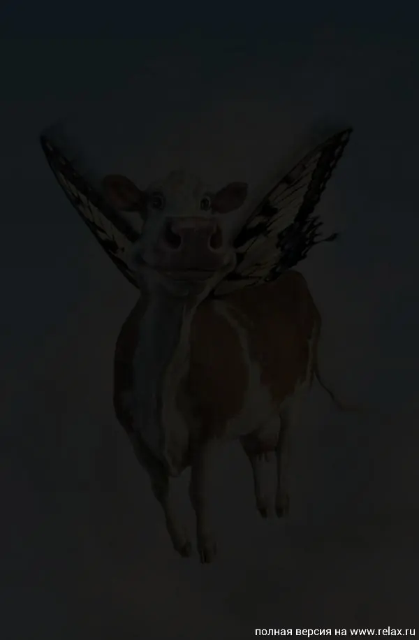 Dibujos y caricaturas (muy buenos)