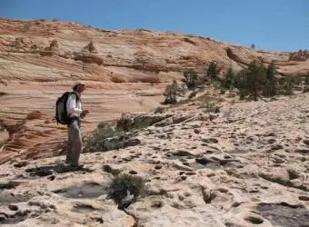 Un oasis donde "danzaban'"dinosaurios.