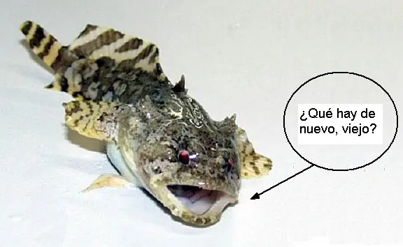 mitos de la actualidad