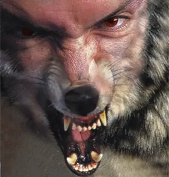 Te enseño a ser un hombre lobo