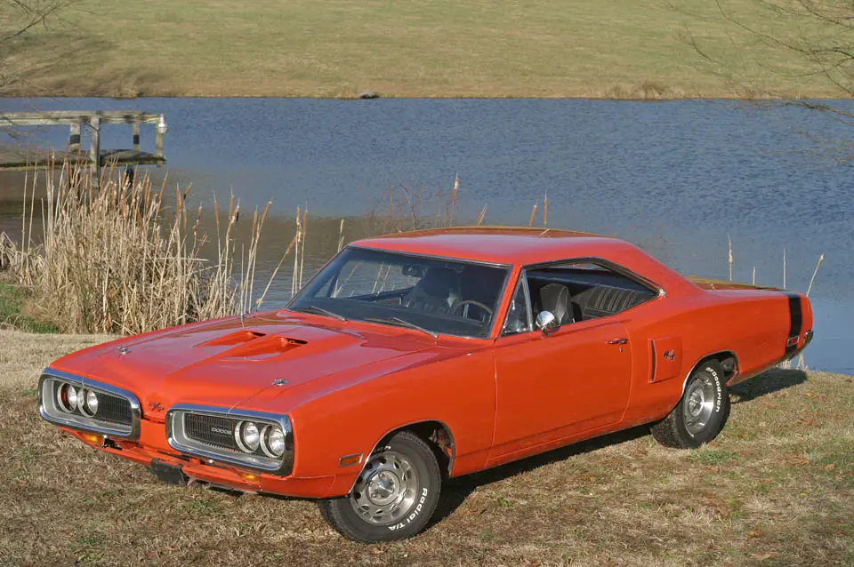 muscle