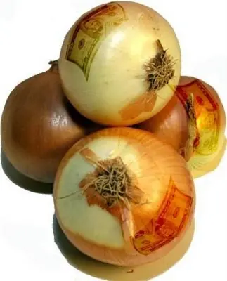 ¿Por qué lloramos al cortar cebollas?