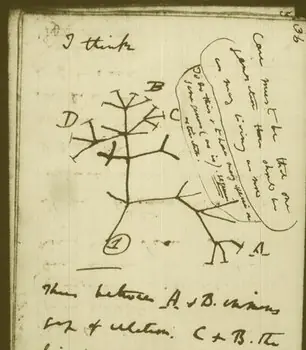 Mas de 100.000 manuscritos de Darwin en Ia Red