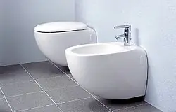 Ventajas y desventajas del uso del Bidet