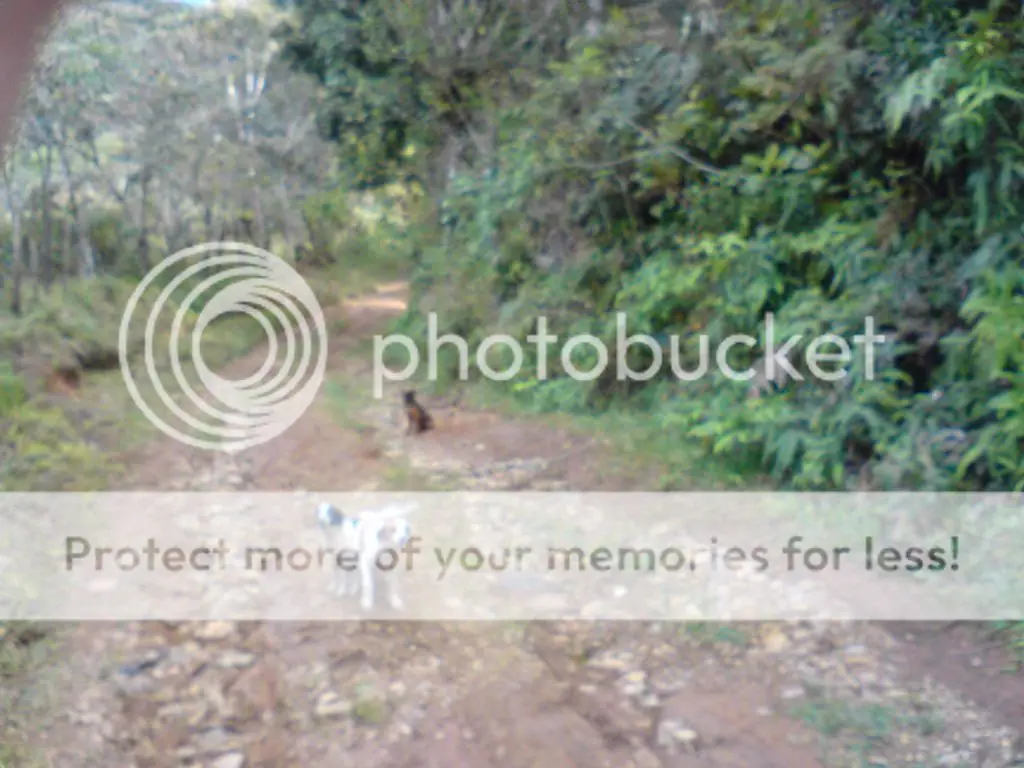 Taringa´s Adventure Parte 1