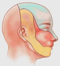 La enfermedad del Suicidio