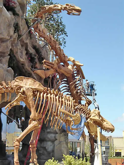 terrestre