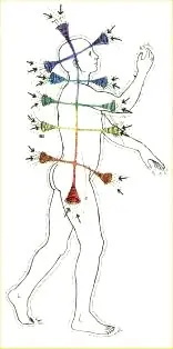 Los Chakras 3ra Parte