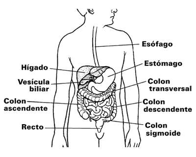 Cáncer del esófago