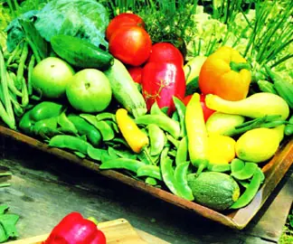 Si Vives de Ensalada! [Razones para ser Vegetariano]