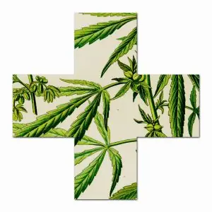 Uso de marihuana en pacientes con VIH