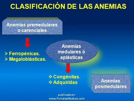 ¿Qué es la anemia?