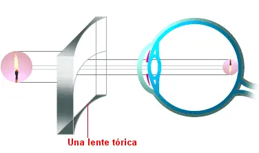 cuerpo humano
