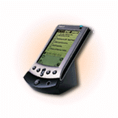 todo lo que queres saber de una Palm...