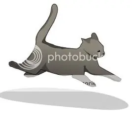 Cómo averiguar si tu gato planea matarte