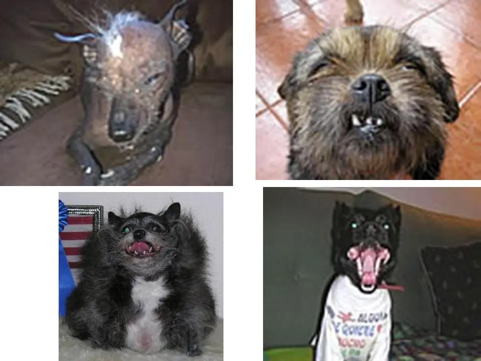 que caras!