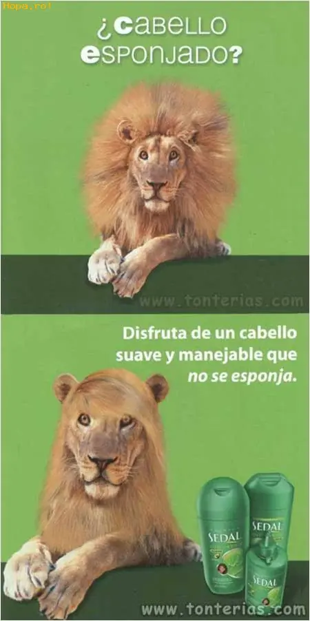 Muy buenas publicidades!!!