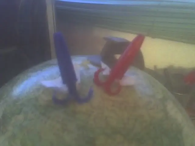 Fotonovela:"La leyenda de Capuchon Calamar" 2º