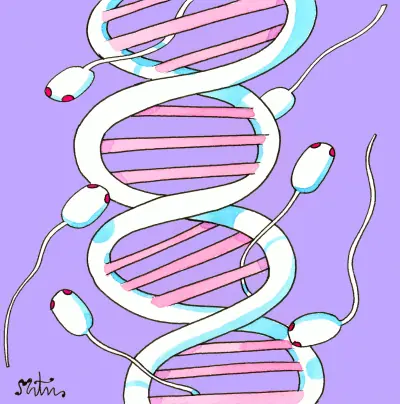 Los genes de la eyaculación precoz