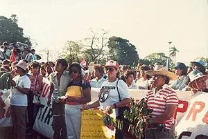 Feliz Dia Taringueras