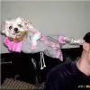 un poco de todo