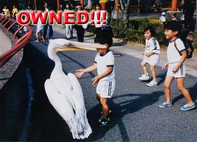 Funny