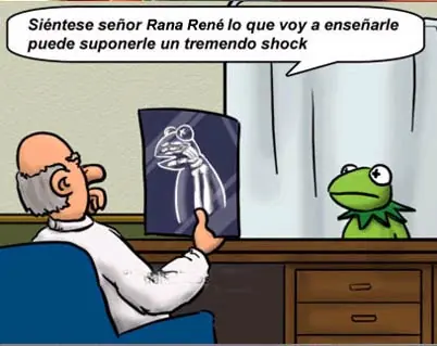 Impactante noticia para la rana rené