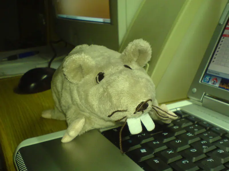 Pizzeria los hijos de Puta 2