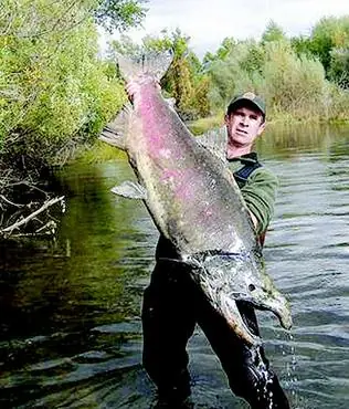 Dedicado a todos los pescadores