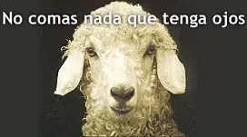 Como empezar a ser vegetariano en 10 pasos