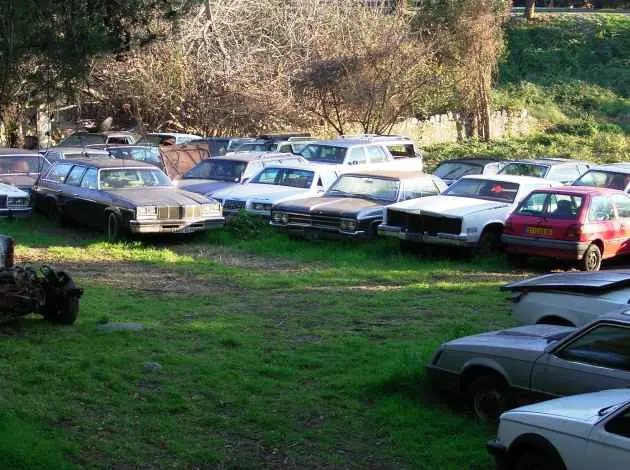 Abandonware autos.