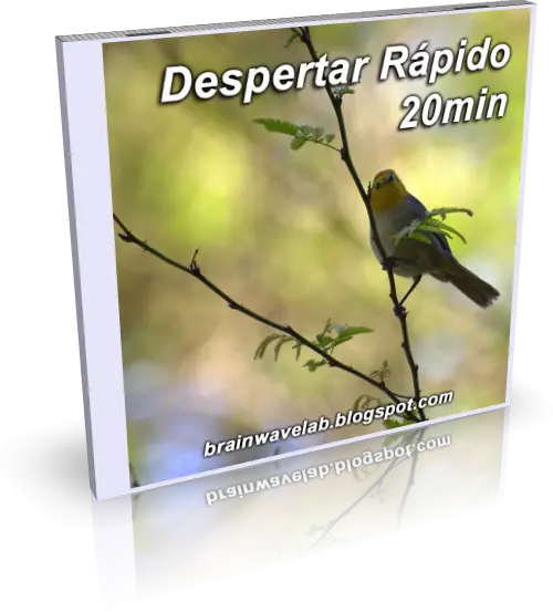 Despertar Rapido