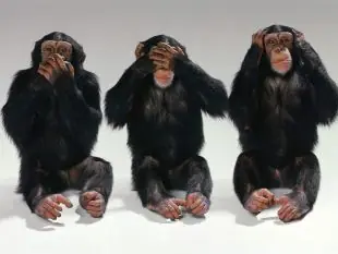 Los Tres monos Sabios