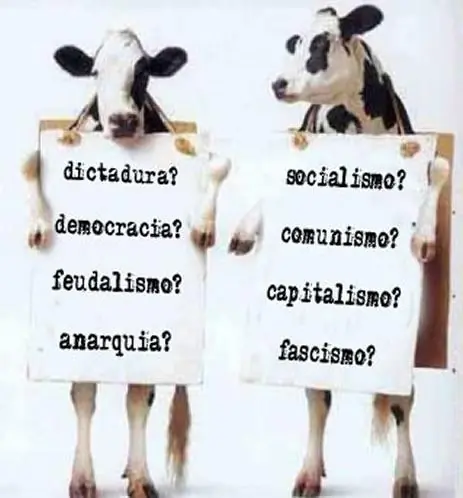 Economia Argentina, explicada con vacas