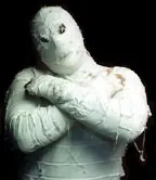 yo vendo mi cuerpo -autobiografia de gambito_sf-