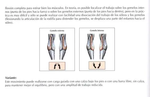 Ejercicios para piernas