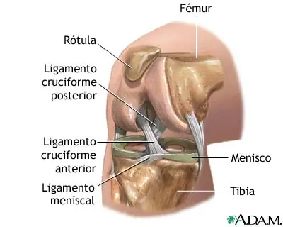 Artroscopia de rodilla