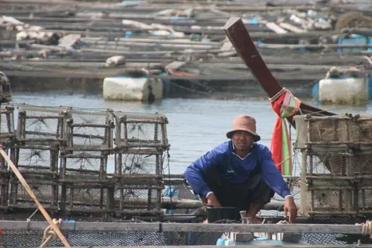El Pez Monstruo en Tailandia