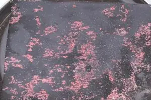 Crea una celda solar con una lamina de cobre