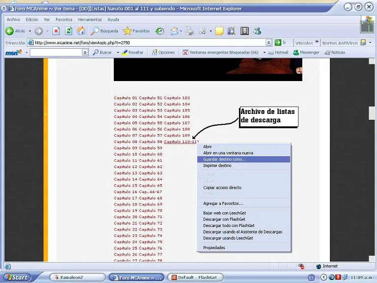 Bajar Por Flashget En Lista
