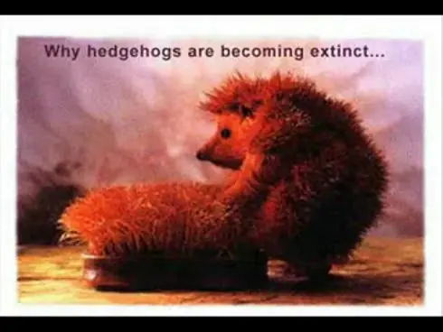 Pasa y reite un rato !!!dale!!!