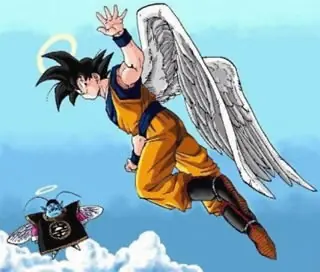 ¿Que Le Pasó A Goku En El Final De La Serie?