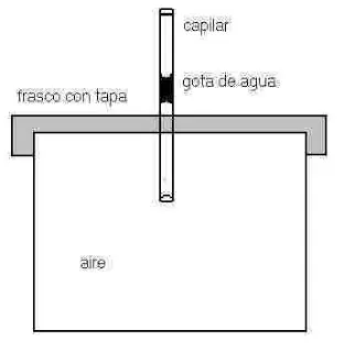 2 Experimentos caseros divertidos