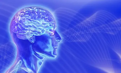 Construyendo un cerebro artificial