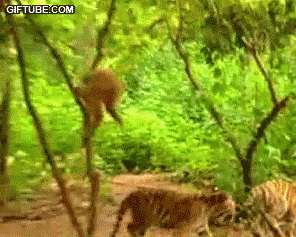 Le entro como y le doy hasta con Gifs