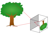 Como realizar una camara estenopeica
