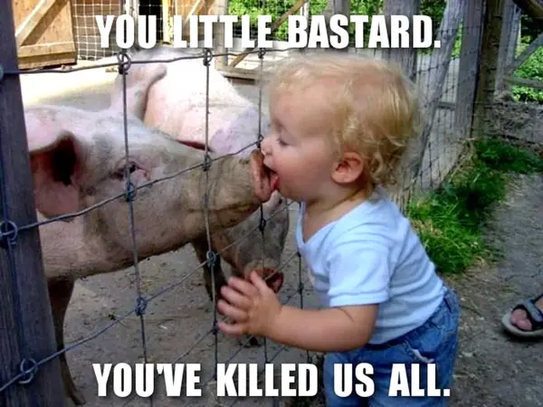 La gripe COMUN mata 10 personas por dia.