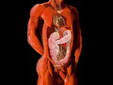 Trucos para tu cuerpo