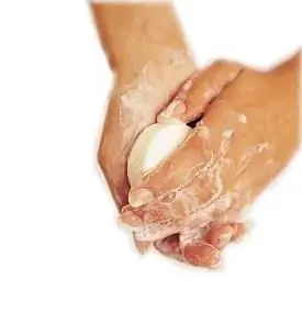 Gripe porcina - Precauciones a Tomar