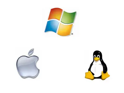 Novias segun los S.O.